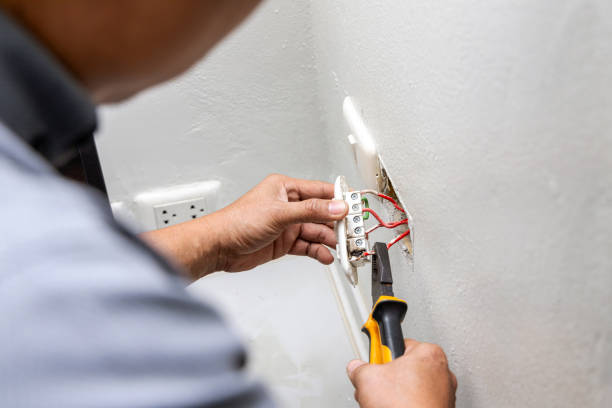 Best Electrical Upgrades for Homes  in Nicholson, GA